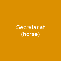 Secretariat (horse)