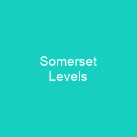 Somerset Levels