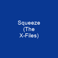 Squeeze (The X-Files)