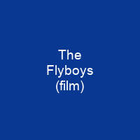 The Flyboys (film)