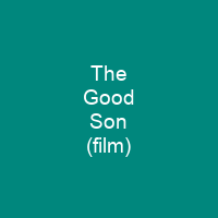 The Good Son (film)