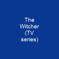 The Witcher (TV series)