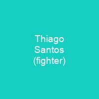 Thiago Santos (fighter)