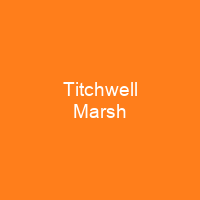 Titchwell Marsh