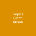 Tropical Storm Allison