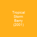 Tropical Storm Barry (2001)