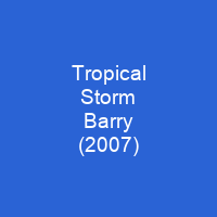Tropical Storm Barry (2007)