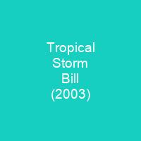 Tropical Storm Bill (2003)
