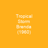 Tropical Storm Brenda (1960)