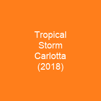 Tropical Storm Carlotta (2018)