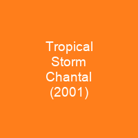 Tropical Storm Chantal (2001)