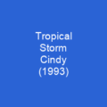 Tropical Storm Cindy (1993)
