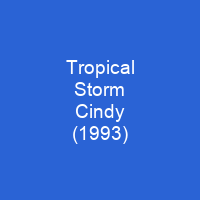 Tropical Storm Cindy (1993)