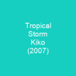 Tropical Storm Kiko (2007)