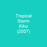 Tropical Storm Kiko (2007)