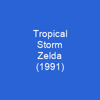 Tropical Storm Zelda (1991)