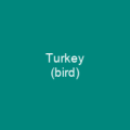Turkey (bird)