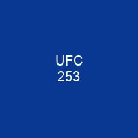 UFC 253