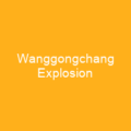 Wanggongchang Explosion