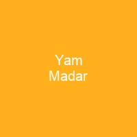 Yam Madar