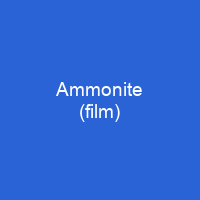 Ammonite (film)