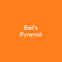 Ball's Pyramid