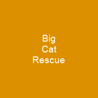 Big Cat Rescue