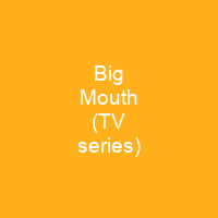 Big Mouth (TV series)