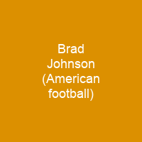 Brad Johnson (American football)