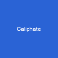 Caliphate