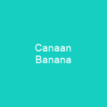 Canaan Banana