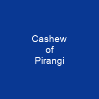 Cashew of Pirangi