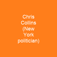 Chris Collins (New York politician)
