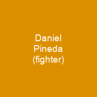 Daniel Pineda (fighter)