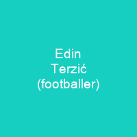 Edin Terzić (footballer)