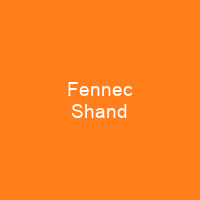 Fennec Shand