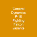 General Dynamics F-16 Fighting Falcon variants