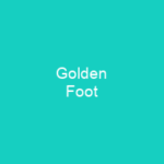 Golden Foot