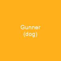 Gunner (dog)