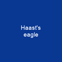 Haast's eagle