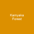 Kamyaka Forest