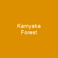 Kamyaka Forest