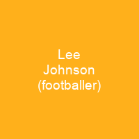 Lee Johnson (footballer)