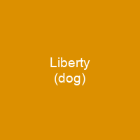 Liberty (dog)