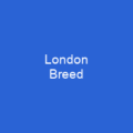 London Breed