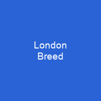 London Breed
