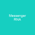 Messenger RNA
