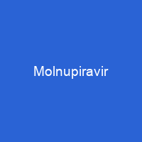 Molnupiravir