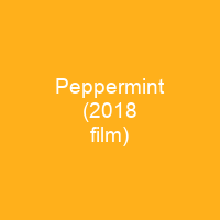 Peppermint (2018 film)