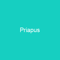 Priapus